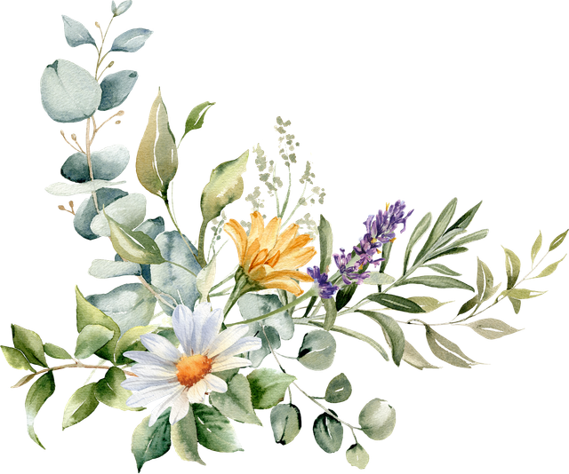 Adobe Stock 546224074.png