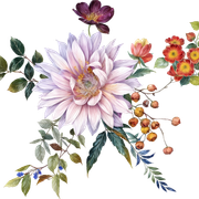 6dafd7131deb3cf21df5419adcdfd243