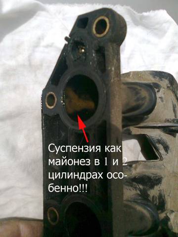 https://i.ibb.co/DHswbn82/5b6j-E.jpg
