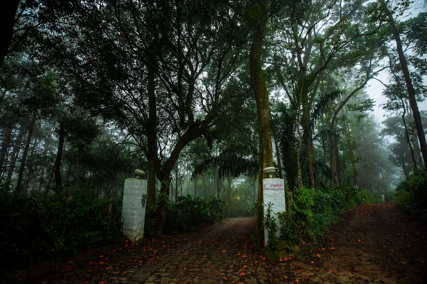 Misty Hills of Coorg Sanctuary