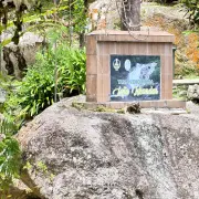 Lata Waterfall16