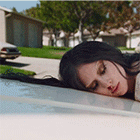 31.gif