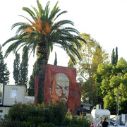DSC7277