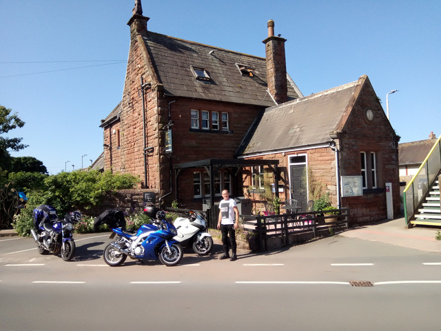 st bees.jpg