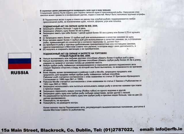 IMGP7314.jpg