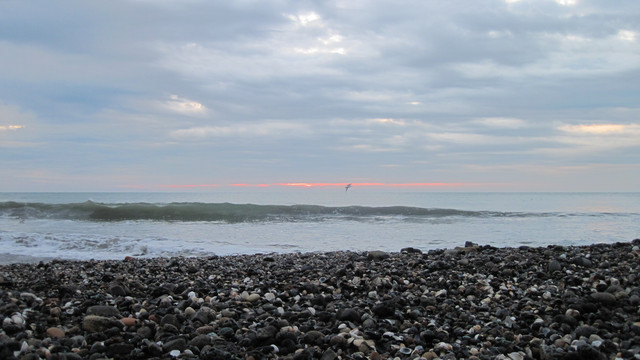 IMG-1333