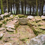 IMGP1466