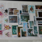 IMG-3496