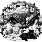 Lin-Elias-Untouchable-Jewels