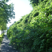 P1340179