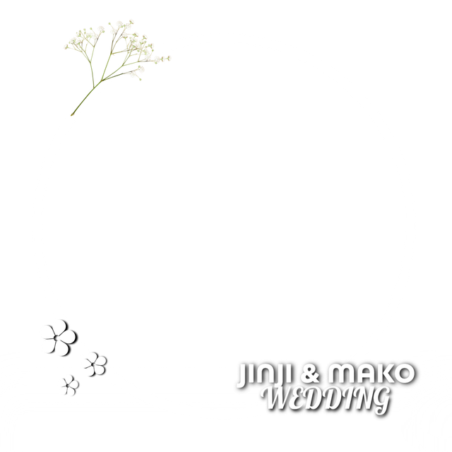 pfp_marquito