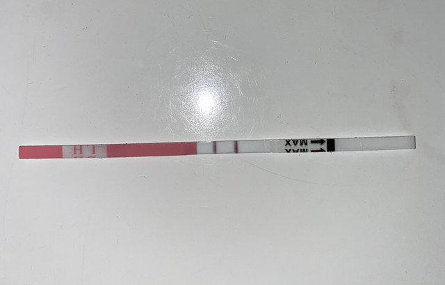 IMG-4732