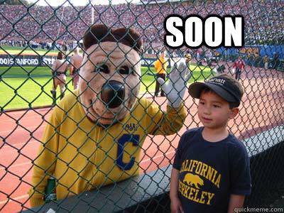 calbear.jpg