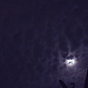 Pmoon-021