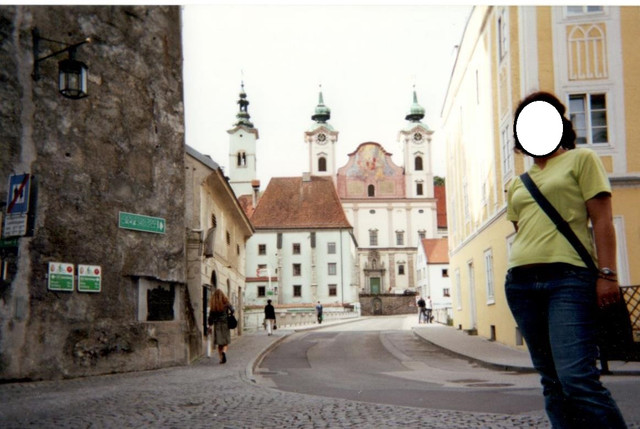 STEYR 1