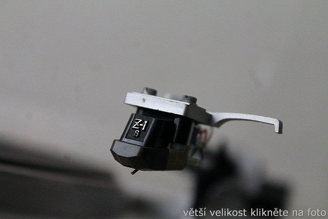 IMG-5512.jpg