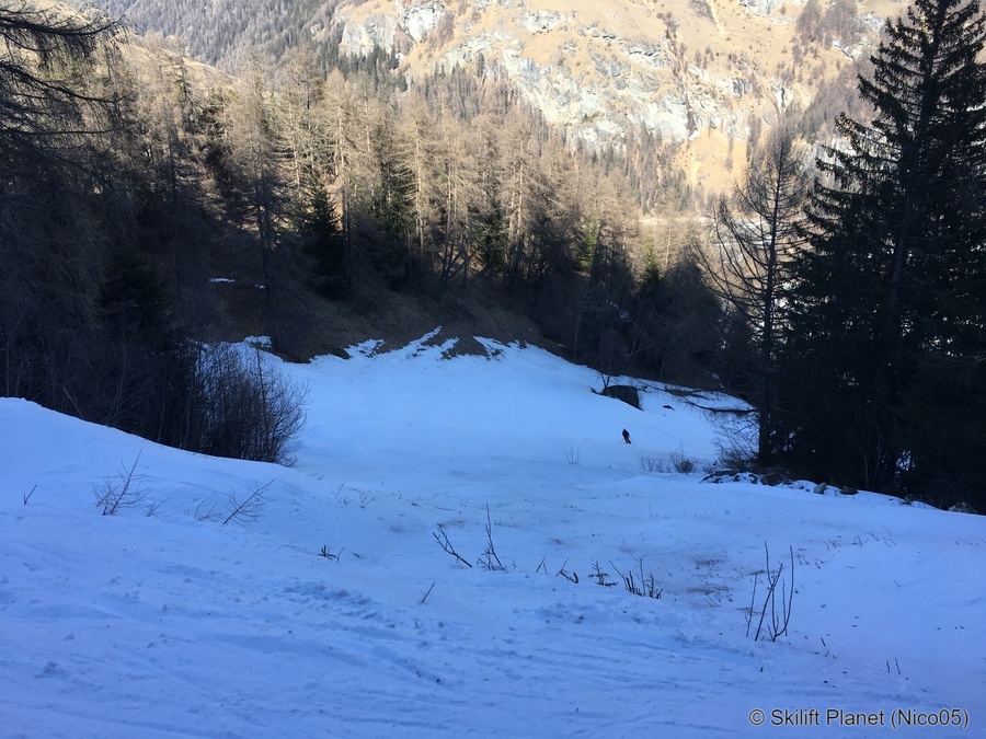 IMG-8783.jpg