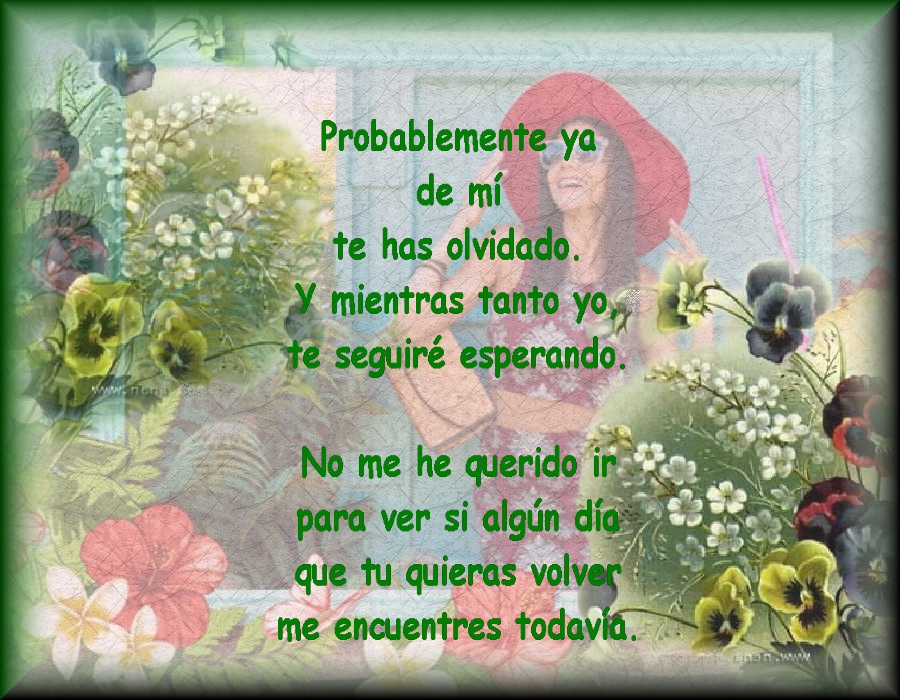 Imagen5ttttttttttttttt