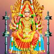 NEW KOVIL THIRUVIZHA FLEX - 5
