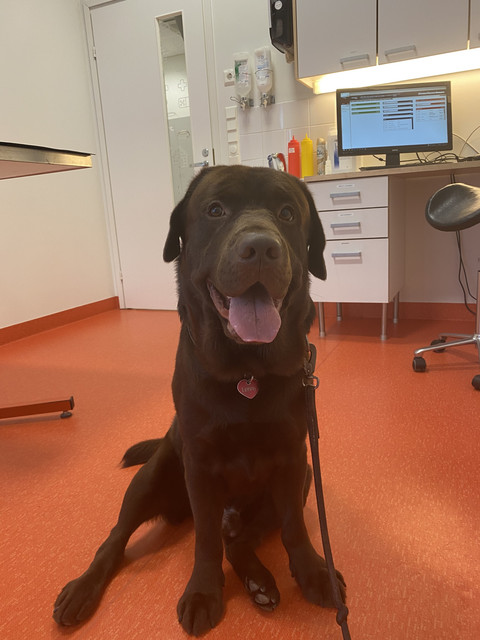 0-CF1-FD2-E-6861-4344-A140-F97-F5-D91-D8