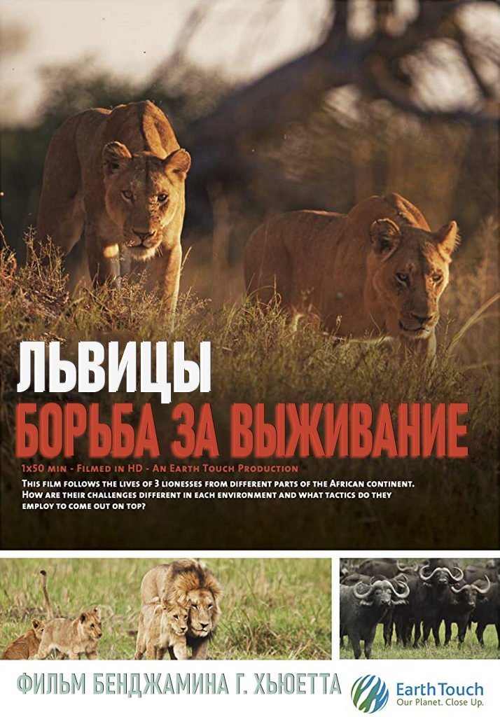 Львицы: борьба за выживание / Lions: The Hunt For Survival (2021)