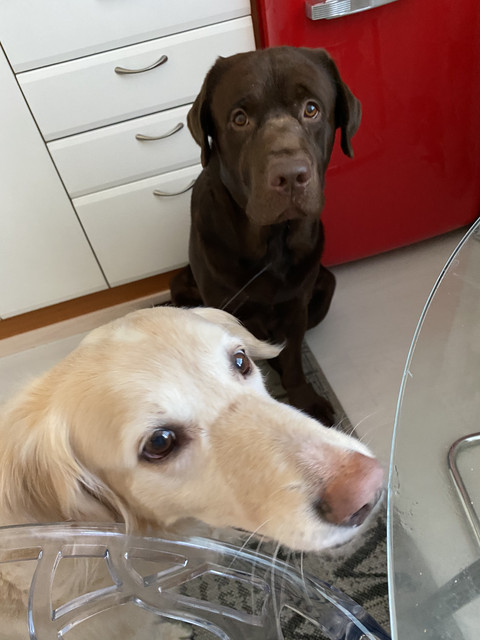 4-A8-A8-EC9-B9-DE-447-E-87-AD-D4-A85219-