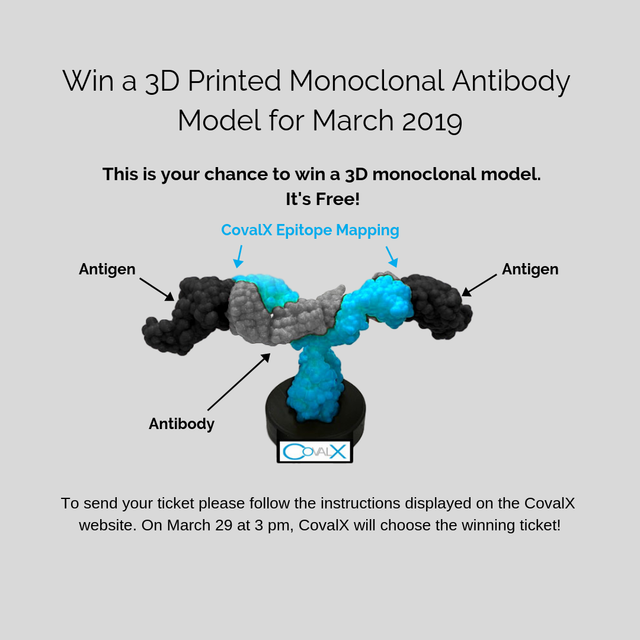 3-D-Model-Content-Online-Campaign-4.png
