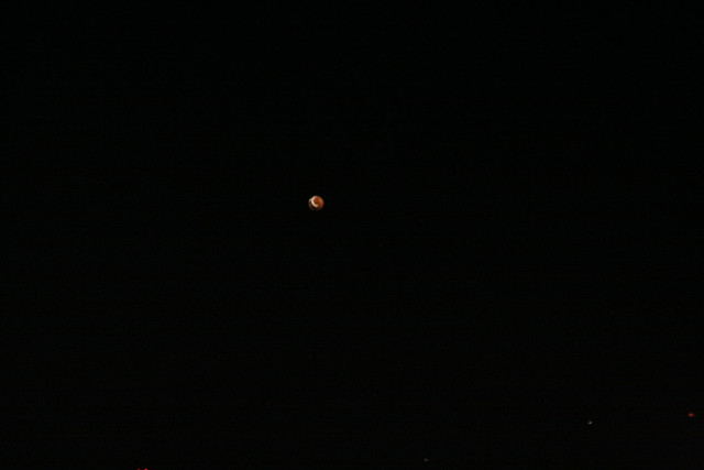 IMG-6694.jpg