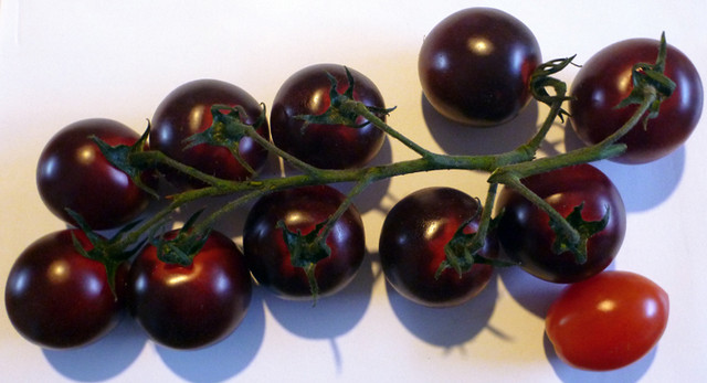 01-kl