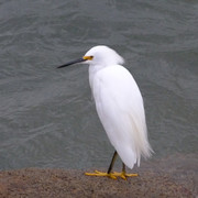57