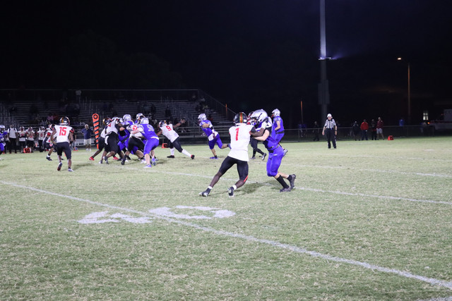 IMG-1311