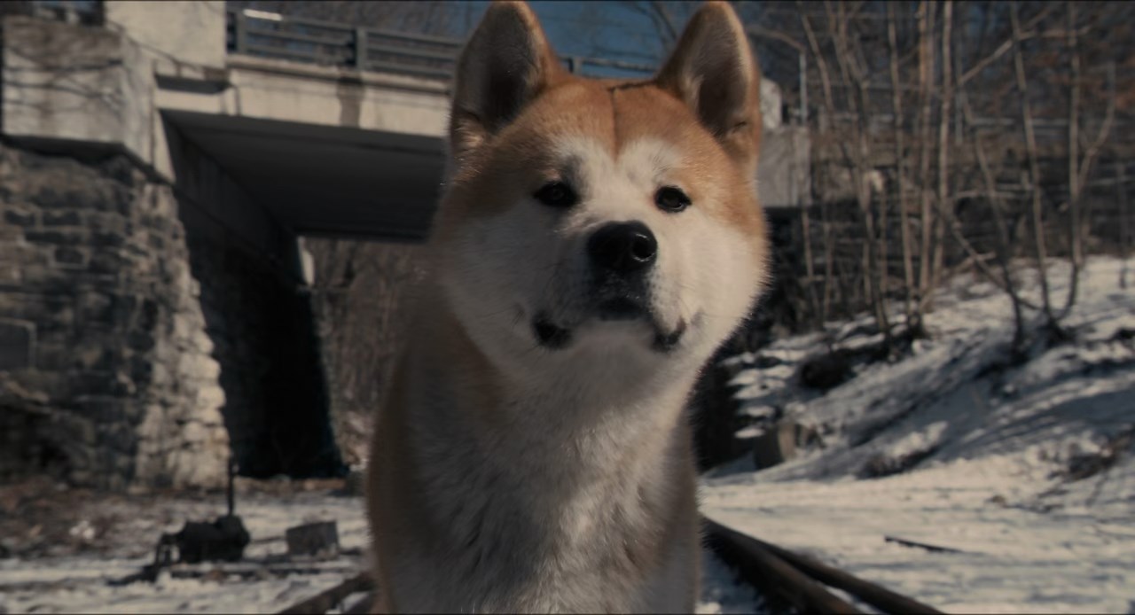 Hachi: A Dog's Tale Screenshot