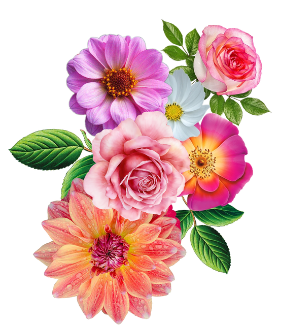 b16db55c44ee55a0cec8b74bfb18f259