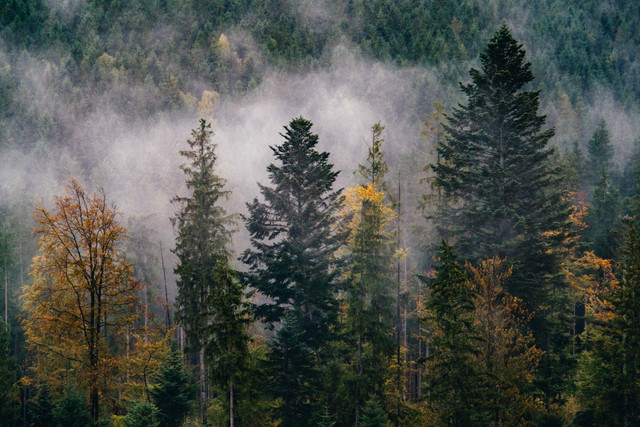 DSCF7873 копия