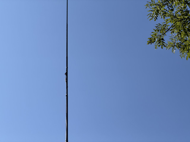 IMG 3464.jpg
