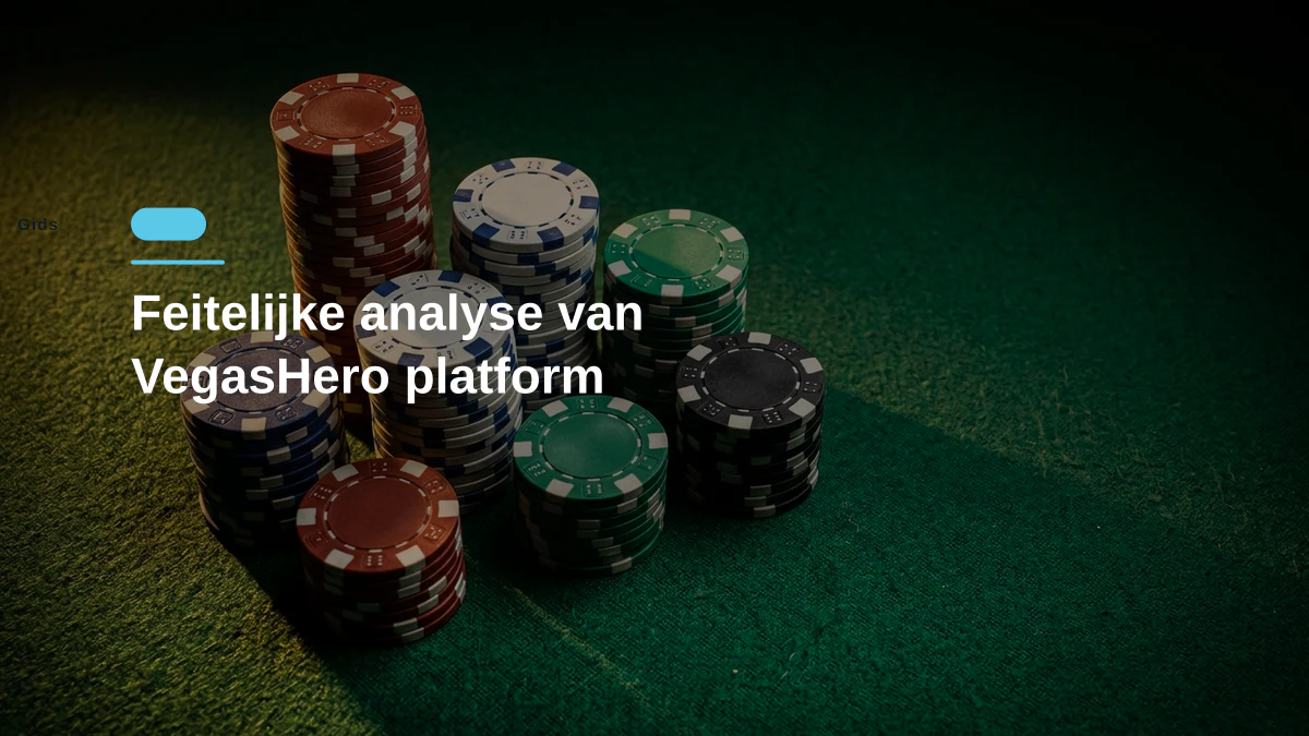 Feitelijke analyse van VegasHero platform
