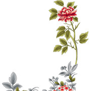 shutterstock 1813399162