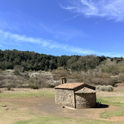 IMG 0459