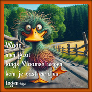vlaamse wegen