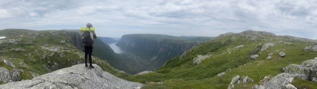 Image of ECT 
