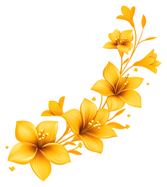 b0abd9771cee0bc46072797409f78ba3.png