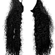 IMG 5956.png