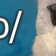 17872378397490227876
