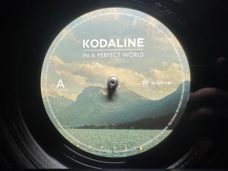Kodaline-In-APerfect-World-Label.jpg