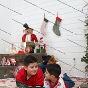 IMG 7951