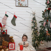 IMG 4471
