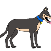 Willy the Dog