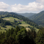 IMG-0146