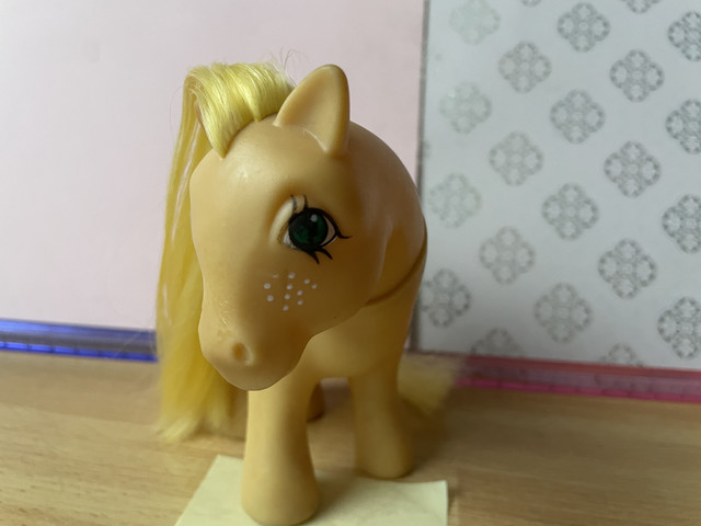 IMG 0866.jpg
