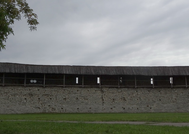 DSC05944-5.jpg